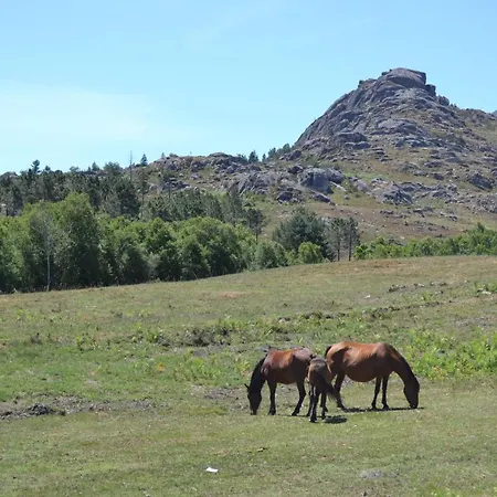 Casa de Férias Casas De Xisto, Branda Da Aveleira Melgaço