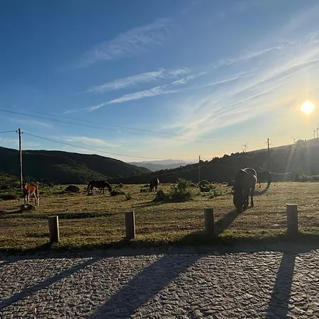 Vale Glaciar, - Branda Da Aveleira Casa vacanze Melgaço