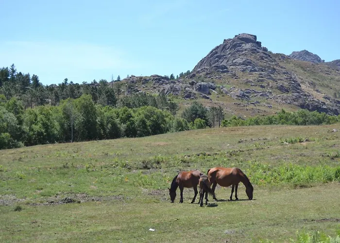 펜션 Casas De Xisto, Branda Da Aveleira 멜가코